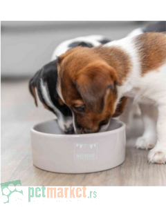 Trixie: Keramička posuda za štence Junior Ceramic Bowl Pink