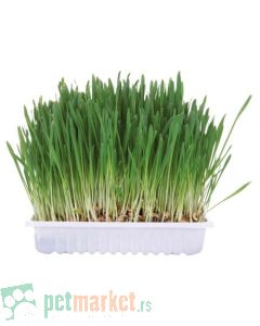 Trixie: Trava za glodare, 100 gr