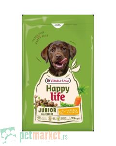 Happy Life: Junior Piletina