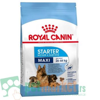 Royal Canin: Size Nutrition Maxi Starter